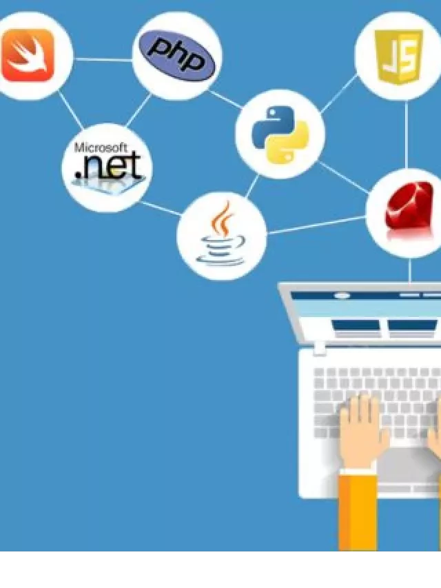   Nghề viết web là gì? Học ngành gì để theo đuổi nghề này?