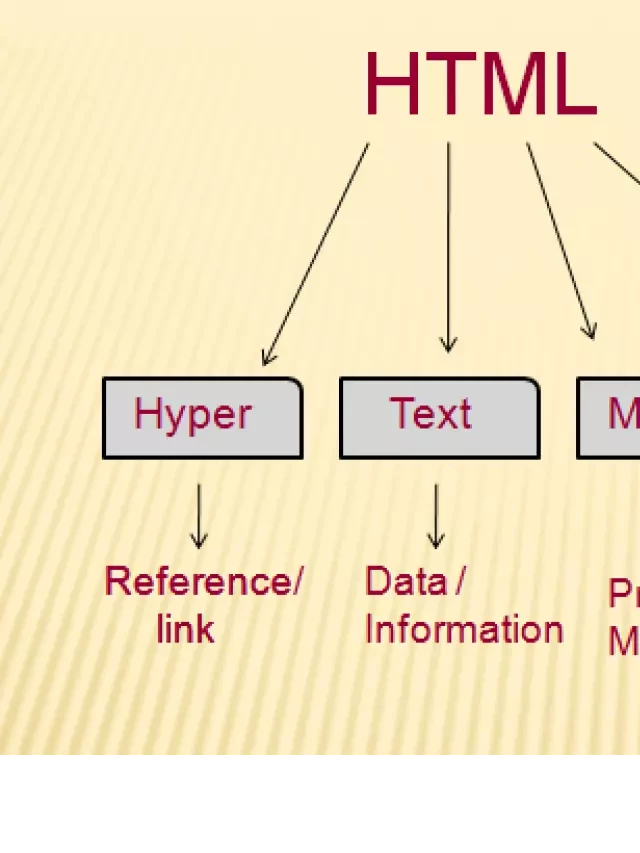   Ngôn ngữ HTML: Vai trò quan trọng trong lập trình web