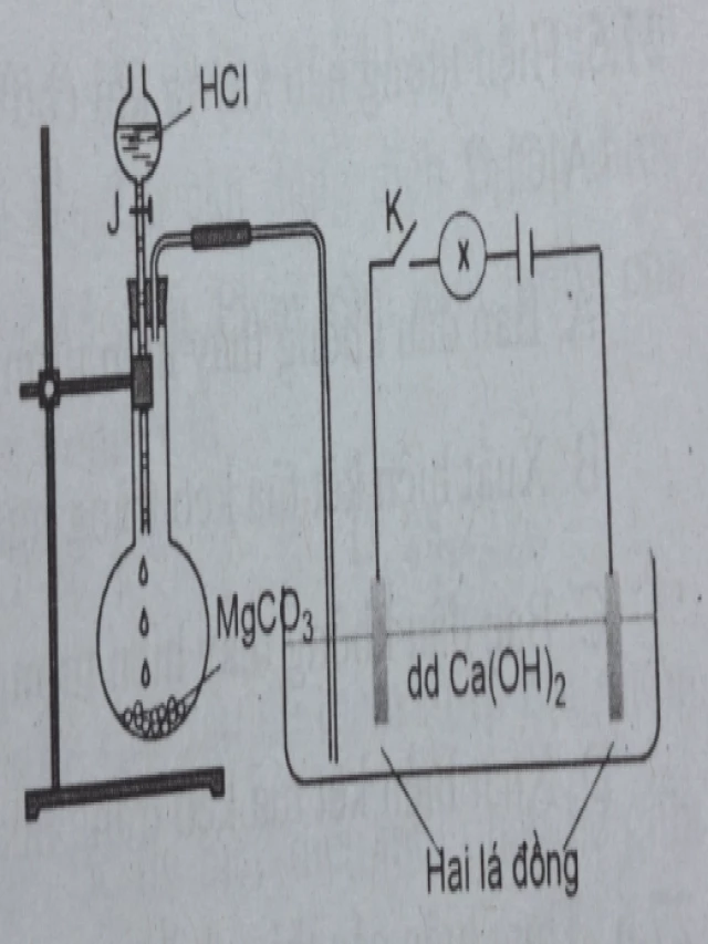   Bài tập &amp; Câu hỏi trắc nghiệm Hóa học 12: Kim loại kiềm thổ có đáp án và lời giải chi tiết