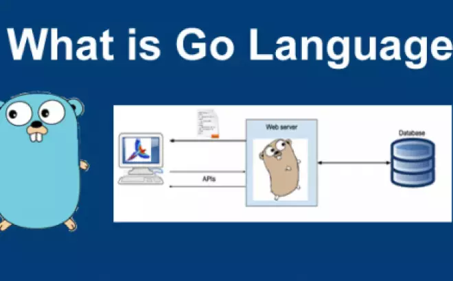   Golang: Sức hấp dẫn và lợi ích cho Backend Developer