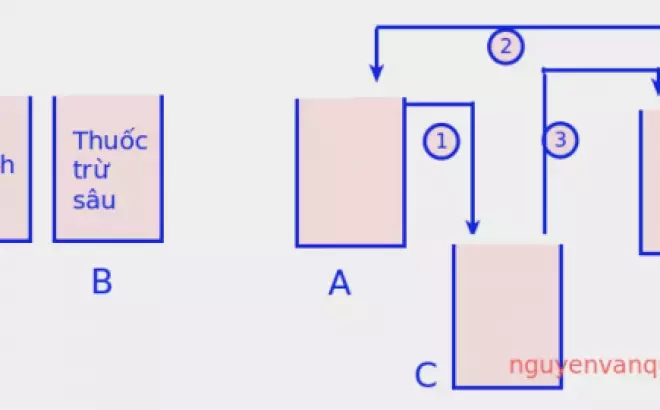   Hàm hoán vị trong C - Cách Học