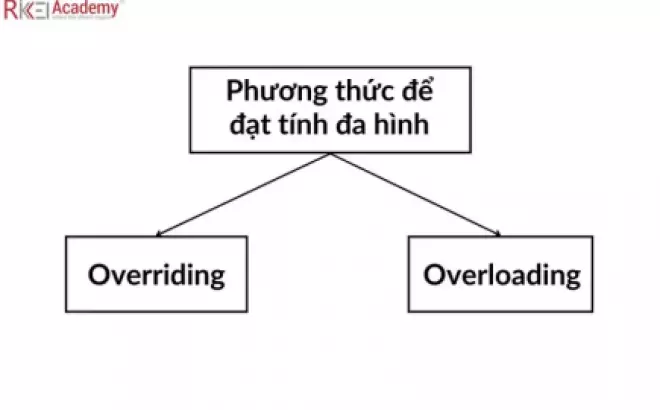   Tìm Hiểu Về Tính Đa Hình trong Java