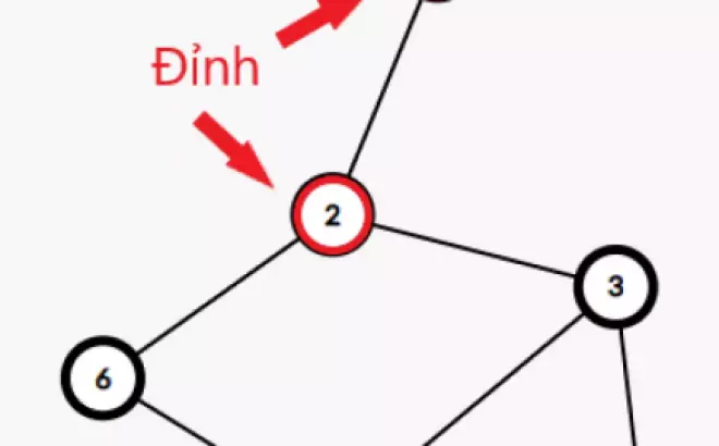   Đồ thị và cây: Tổng quan về cấu trúc dữ liệu quan trọng trong Tin học