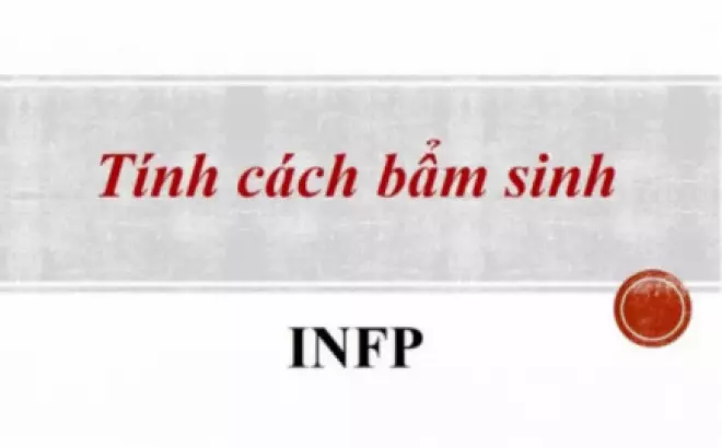   INFP - Nhóm tính cách lý tưởng hóa mà ít ai biết