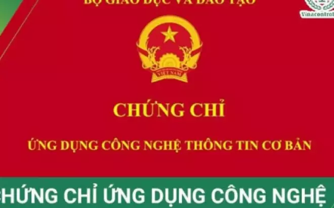   Chứng chỉ tin học cơ bản: Tầm quan trọng và giá trị