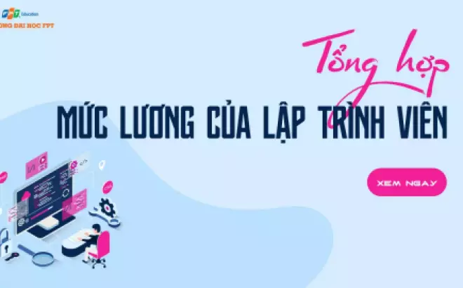   Mức lương của lập trình viên năm 2024: Những thông tin quan trọng bạn cần biết